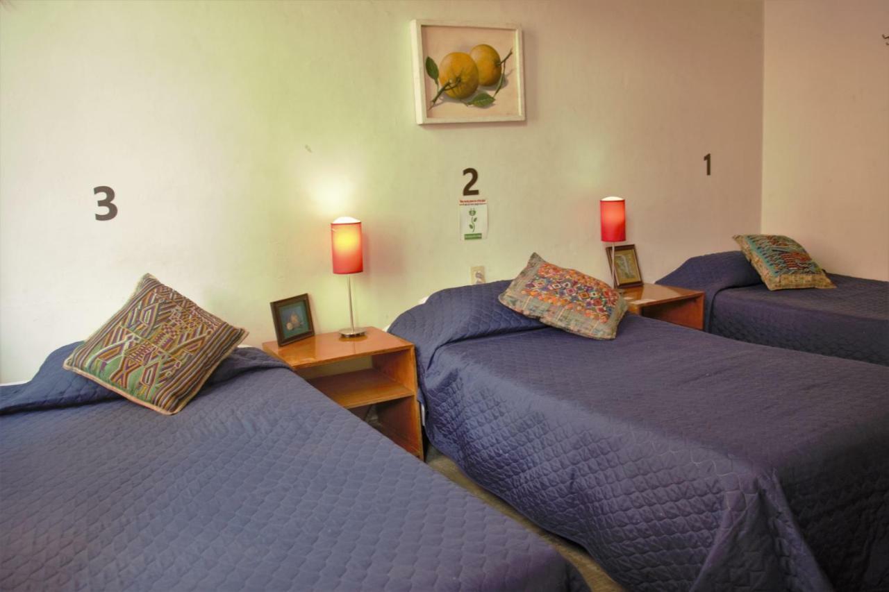 Hotel Lit Guadalajara Extérieur photo